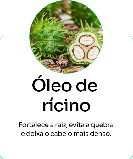 Agrupar 1 copiar 4