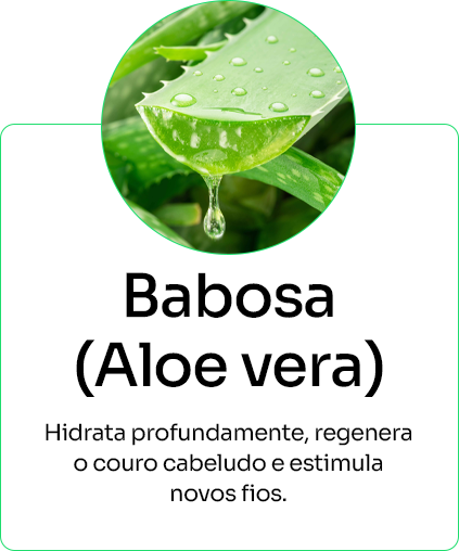 Agrupar 1 copiar 5